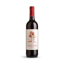 Bouteille de vin Garmendia Tinto Roble 2019